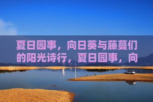 夏日园事,向日葵与藤蔓们的阳光诗行,夏日园事,向日葵与藤蔓的阳光诗行 夏日园事,向日葵与藤蔓们的阳光诗行,夏日园事,向日葵与藤蔓的阳光诗行