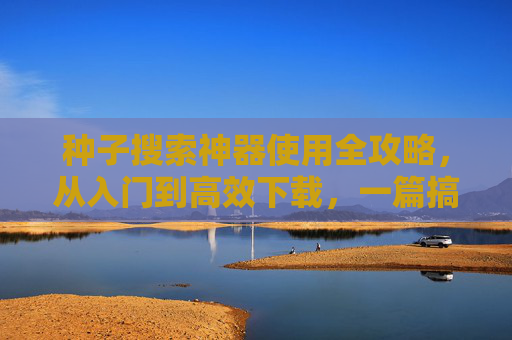 种子搜索神器使用全攻略，从入门到高效下载，一篇搞定，种子搜索神器全攻略，从入门到高效下载，一篇搞定
