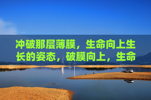 冲破那层薄膜,生命向上生长的姿态,破膜向上,生命的生长姿态 冲破那层薄膜,生命向上生长的姿态,破膜向上,生命的生长姿态