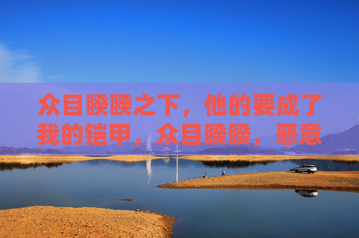 众目睽睽之下,他的要成了我的铠甲,众目睽睽,恶意成甲 众目睽睽之下,他的要成了我的铠甲,众目睽睽,恶意成甲