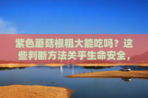 紫色蘑菇根粗大能吃吗?这些判断方法关乎生命安全,紫色蘑菇根粗大能吃吗?这些判断方法关乎生命安全 紫色蘑菇根粗大能吃吗?这些判断方法关乎生命安全,紫色蘑菇根粗大能吃吗?这些判断方法关乎生命安全