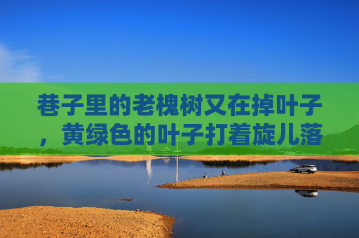 巷子里的老槐树又在掉叶子,黄绿色的叶子打着旋儿落下来,蹭着我的车铃铛,发出沙沙的响。我捏着车把的手又紧了紧,车座硌得屁股生疼,可车头还是像喝醉了似的,左摇右晃地往墙根上撞,落叶蹭铃,车头醉巷 巷子里的老槐树又在掉叶子,黄绿色的叶子打着旋儿落下来,蹭着我的车铃铛,发出沙沙的响。我捏着车把的手又紧了紧,车座硌得屁股生疼,可车头还是像喝醉了似的,左摇右晃地往墙根上撞,落叶蹭铃,车头醉巷
