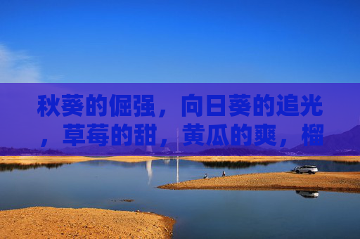 秋葵的倔强,向日葵的追光,草莓的甜,黄瓜的爽,榴莲的怪——自然的五种滋味图谱,自然的五种滋味图谱,倔强、追光、甜、爽、怪 秋葵的倔强,向日葵的追光,草莓的甜,黄瓜的爽,榴莲的怪——自然的五种滋味图谱,自然的五种滋味图谱,倔强、追光、甜、爽、怪