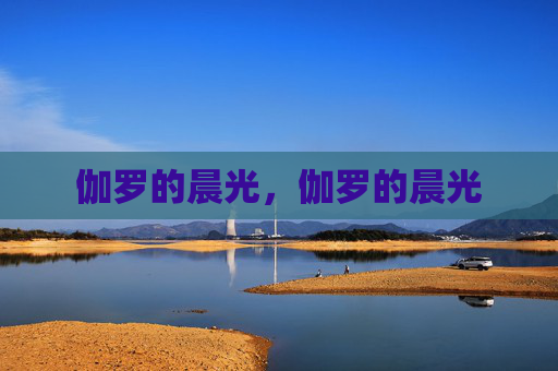 伽罗的晨光,伽罗的晨光 伽罗的晨光,伽罗的晨光