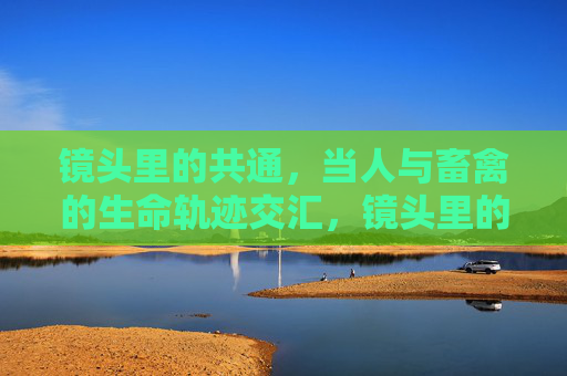 镜头里的共通,当人与畜禽的生命轨迹交汇,镜头里的生命共通,人与畜禽轨迹交汇 镜头里的共通,当人与畜禽的生命轨迹交汇,镜头里的生命共通,人与畜禽轨迹交汇