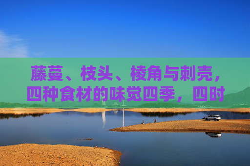 藤蔓、枝头、棱角与刺壳,四种食材的味觉四季,四时四味,藤蔓枝头棱角刺壳的味觉四季 藤蔓、枝头、棱角与刺壳,四种食材的味觉四季,四时四味,藤蔓枝头棱角刺壳的味觉四季