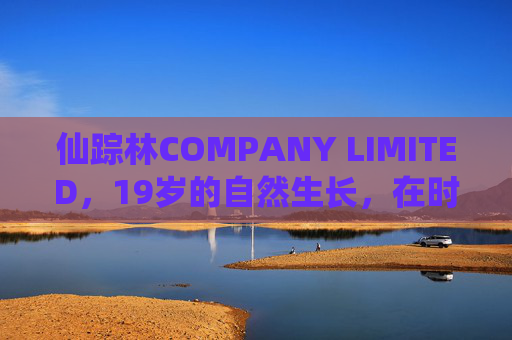 仙踪林COMPANY LIMITED,19岁的自然生长,在时光里酿一杯青春茶香,仙踪林19载,时光酿青春茶香 仙踪林COMPANY LIMITED,19岁的自然生长,在时光里酿一杯青春茶香,仙踪林19载,时光酿青春茶香