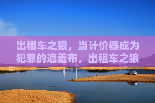 出租车之狼,当计价器成为犯罪的遮羞布,出租车之狼,计价器成犯罪遮羞布 出租车之狼,当计价器成为犯罪的遮羞布,出租车之狼,计价器成犯罪遮羞布