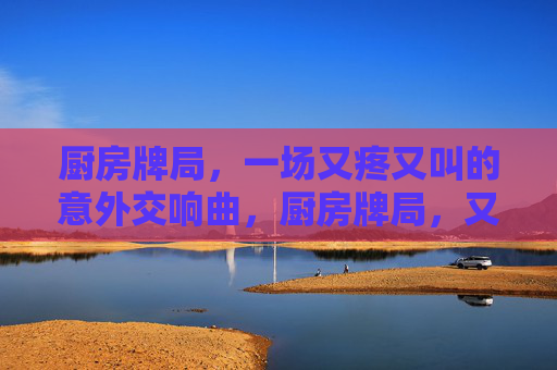 厨房牌局，一场又疼又叫的意外交响曲，厨房牌局，又疼又叫的意外交响