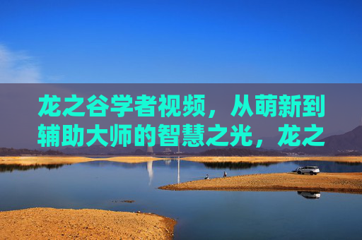 龙之谷学者视频，从萌新到辅助大师的智慧之光，龙之谷学者，从萌新到辅助大师的智慧之光