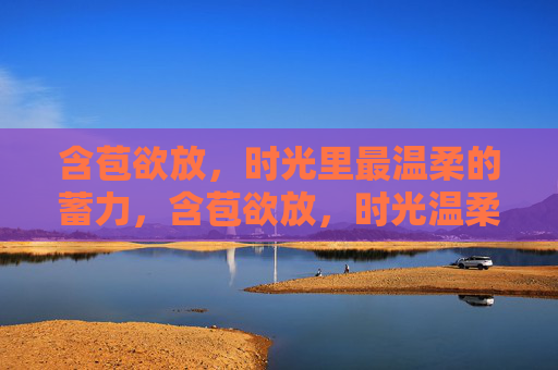 含苞欲放,时光里最温柔的蓄力,含苞欲放,时光温柔蓄力 含苞欲放,时光里最温柔的蓄力,含苞欲放,时光温柔蓄力