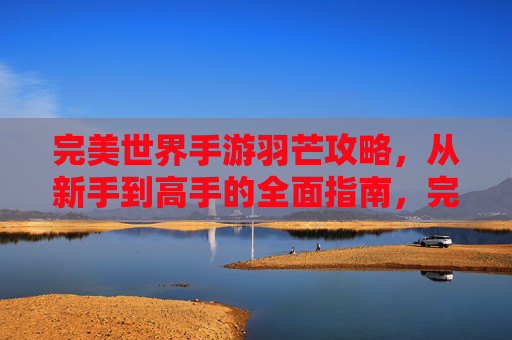 完美世界手游羽芒攻略,从新手到高手的全面指南,完美世界手游羽芒新手到高手全攻略 完美世界手游羽芒攻略,从新手到高手的全面指南,完美世界手游羽芒新手到高手全攻略