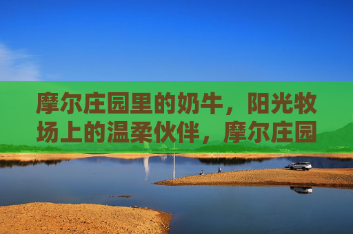 摩尔庄园里的奶牛,阳光牧场上的温柔伙伴,摩尔庄园奶牛,阳光牧场的温柔伙伴 摩尔庄园里的奶牛,阳光牧场上的温柔伙伴,摩尔庄园奶牛,阳光牧场的温柔伙伴