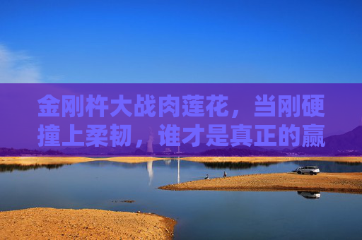 金刚杵大战肉莲花,当刚硬撞上柔韧,谁才是真正的赢家?金刚杵大战肉莲花,刚硬撞柔韧,谁才是赢家? 金刚杵大战肉莲花,当刚硬撞上柔韧,谁才是真正的赢家?金刚杵大战肉莲花,刚硬撞柔韧,谁才是赢家?