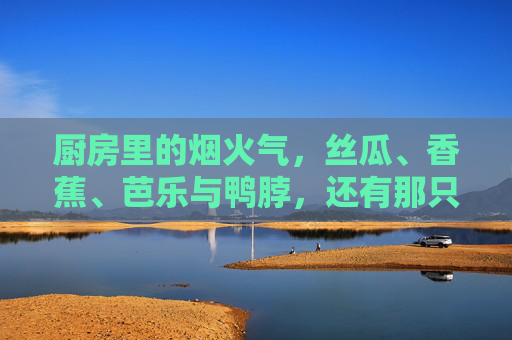 厨房里的烟火气，丝瓜、香蕉、芭乐与鸭脖，还有那只小猪的下载小烦恼，厨房烟火气，小猪的下载烦恼与丝瓜芭乐鸭脖
