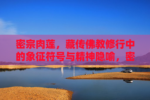 密宗肉莲,藏传佛教修行中的象征符号与精神隐喻,密宗肉莲,藏传佛教修行中的象征符号与精神隐喻 密宗肉莲,藏传佛教修行中的象征符号与精神隐喻,密宗肉莲,藏传佛教修行中的象征符号与精神隐喻
