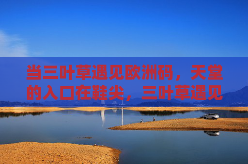 当三叶草遇见欧洲码,天堂的入口在鞋尖,三叶草遇见欧洲码,天堂入口在鞋尖 当三叶草遇见欧洲码,天堂的入口在鞋尖,三叶草遇见欧洲码,天堂入口在鞋尖