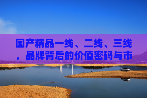 国产精品一线、二线、三线,品牌背后的价值密码与市场逻辑,国产精品品牌的价值密码,从一线到三线的市场逻辑 国产精品一线、二线、三线,品牌背后的价值密码与市场逻辑,国产精品品牌的价值密码,从一线到三线的市场逻辑