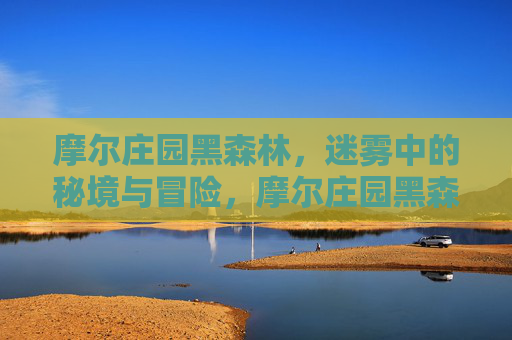 摩尔庄园黑森林,迷雾中的秘境与冒险,摩尔庄园黑森林,迷雾中的秘境冒险 摩尔庄园黑森林,迷雾中的秘境与冒险,摩尔庄园黑森林,迷雾中的秘境冒险