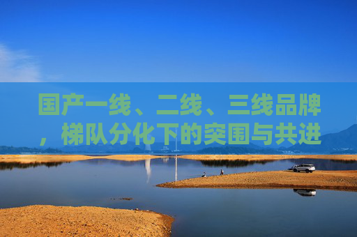 国产一线、二线、三线品牌,梯队分化下的突围与共进,梯队分化下的国产品牌突围与共进 国产一线、二线、三线品牌,梯队分化下的突围与共进,梯队分化下的国产品牌突围与共进