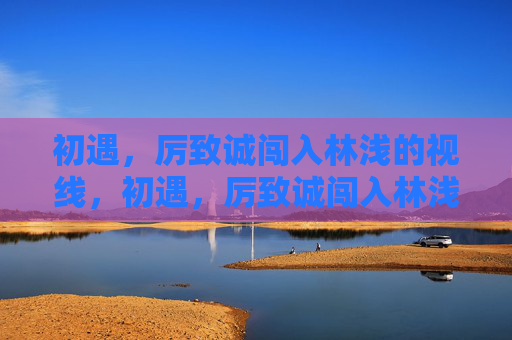初遇，厉致诚闯入林浅的视线，初遇，厉致诚闯入林浅的视线