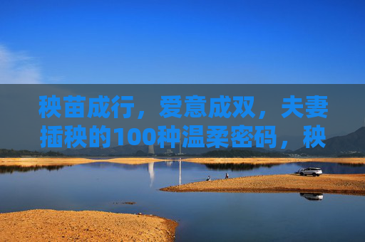 秧苗成行,爱意成双,夫妻插秧的100种温柔密码,秧苗成行,爱意成双,夫妻插秧的温柔密码 秧苗成行,爱意成双,夫妻插秧的100种温柔密码,秧苗成行,爱意成双,夫妻插秧的温柔密码