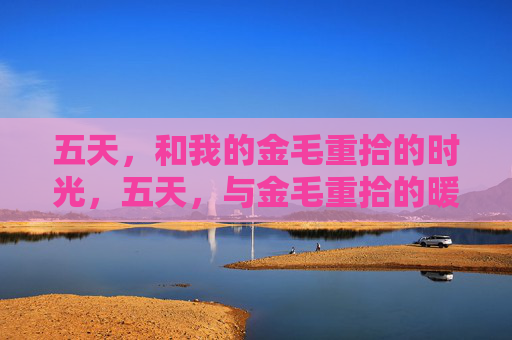五天,和我的金毛重拾的时光,五天,与金毛重拾的暖时光 五天,和我的金毛重拾的时光,五天,与金毛重拾的暖时光