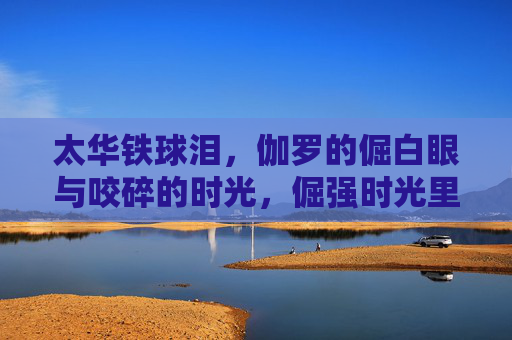 太华铁球泪,伽罗的倔白眼与咬碎的时光,倔强时光里的太华铁球泪 太华铁球泪,伽罗的倔白眼与咬碎的时光,倔强时光里的太华铁球泪