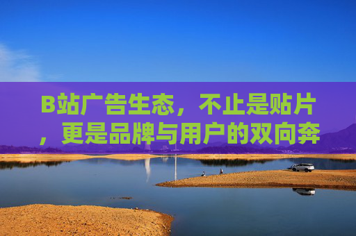 B站广告生态，不止是贴片，更是品牌与用户的双向奔赴，B站广告生态，不止贴片，品牌与用户的双向奔赴