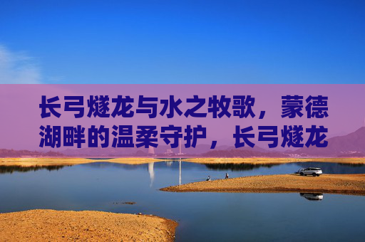 长弓燧龙与水之牧歌,蒙德湖畔的温柔守护,长弓燧龙与水之牧歌,蒙德湖畔的温柔守护 长弓燧龙与水之牧歌,蒙德湖畔的温柔守护,长弓燧龙与水之牧歌,蒙德湖畔的温柔守护