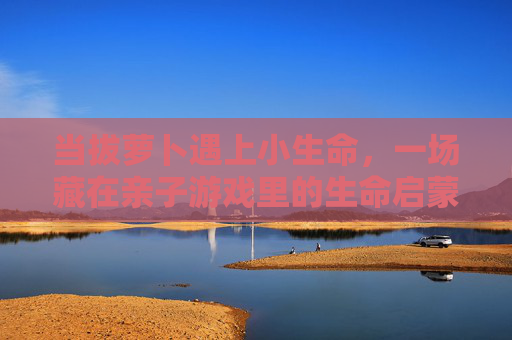 当拔萝卜遇上小生命,一场藏在亲子游戏里的生命启蒙,亲子拔萝卜,小生命的生命启蒙 当拔萝卜遇上小生命,一场藏在亲子游戏里的生命启蒙,亲子拔萝卜,小生命的生命启蒙