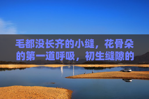 毛都没长齐的小缝,花骨朵的第一道呼吸,初生缝隙的第一次呼吸 毛都没长齐的小缝,花骨朵的第一道呼吸,初生缝隙的第一次呼吸