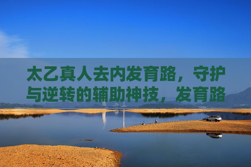 太乙真人去内发育路，守护与逆转的辅助神技，发育路太乙，守护与逆转的辅助神技