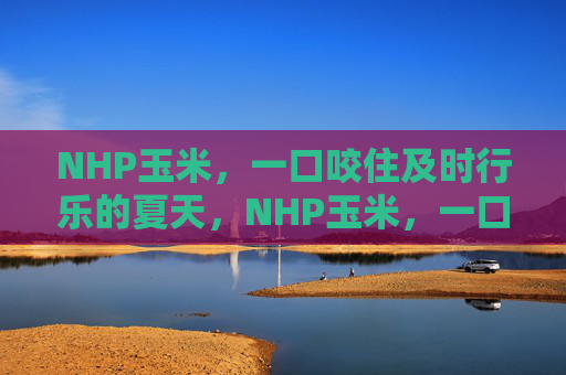NHP玉米，一口咬住及时行乐的夏天，NHP玉米，一口咬住及时行乐的夏天