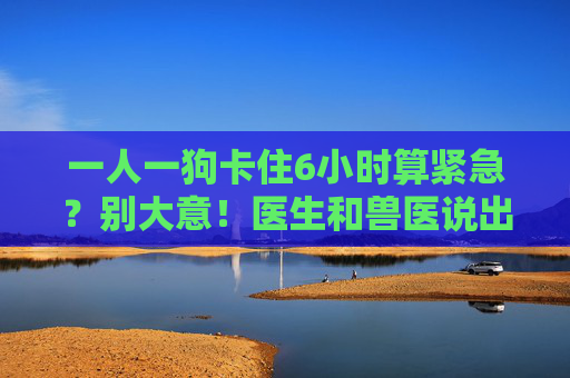 一人一狗卡住6小时算紧急?别大意!医生和兽医说出真相,一人一狗卡住6小时算紧急?医生兽医提醒别大意,真相来了! 一人一狗卡住6小时算紧急?别大意!医生和兽医说出真相,一人一狗卡住6小时算紧急?医生兽医提醒别大意,真相来了!
