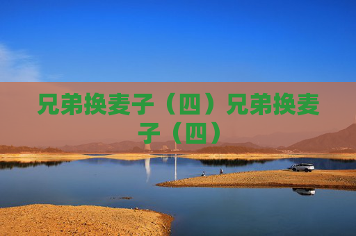 兄弟换麦子（四）兄弟换麦子（四）