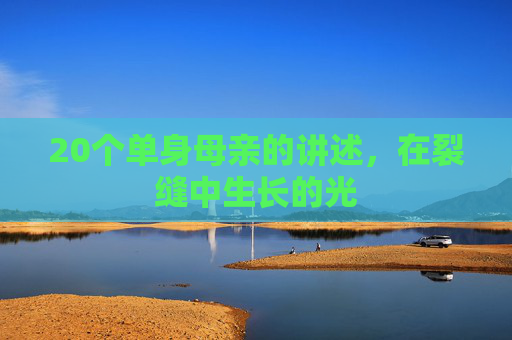 20个单身母亲的讲述,在裂缝中生长的光 20个单身母亲的讲述,在裂缝中生长的光