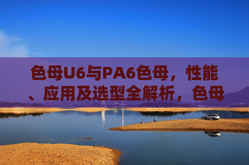 色母U6与PA6色母,性能、应用及选型全解析,色母U6与PA6色母,性能、应用及选型全解析 色母U6与PA6色母,性能、应用及选型全解析,色母U6与PA6色母,性能、应用及选型全解析