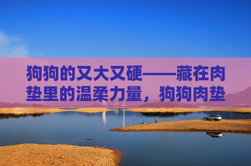 狗狗的又大又硬——藏在肉垫里的温柔力量，狗狗肉垫，刚硬外表下的温柔力量