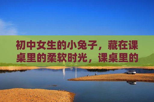 初中女生的小兔子，藏在课桌里的柔软时光，课桌里的小兔子，初中女生的柔软时光