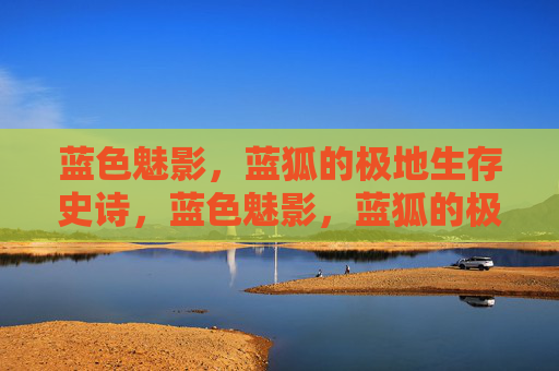 蓝色魅影,蓝狐的极地生存史诗,蓝色魅影,蓝狐的极地生存史诗 蓝色魅影,蓝狐的极地生存史诗,蓝色魅影,蓝狐的极地生存史诗