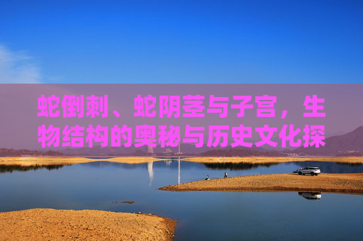 蛇倒刺、蛇阴茎与子宫,生物结构的奥秘与历史文化探源 蛇倒刺、蛇阴茎与子宫,生物结构的奥秘与历史文化探源