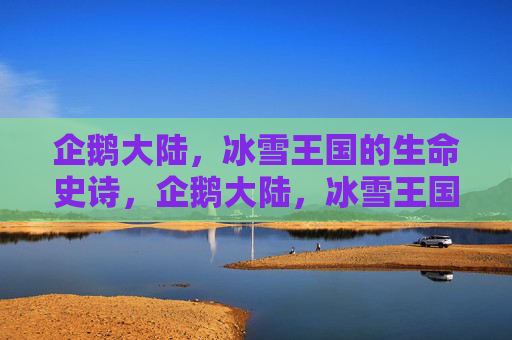 企鹅大陆,冰雪王国的生命史诗,企鹅大陆,冰雪王国的生命史诗 企鹅大陆,冰雪王国的生命史诗,企鹅大陆,冰雪王国的生命史诗