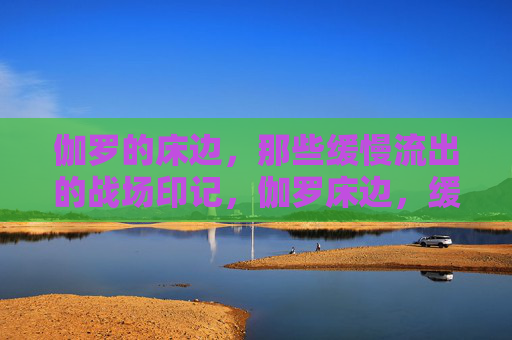 伽罗的床边,那些缓慢流出的战场印记,伽罗床边,缓慢流出的战场印记 伽罗的床边,那些缓慢流出的战场印记,伽罗床边,缓慢流出的战场印记
