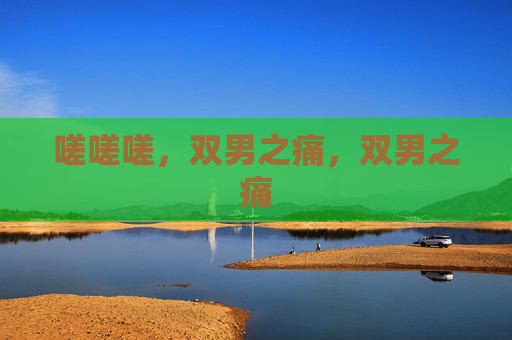 嗟嗟嗟，双男之痛，双男之痛