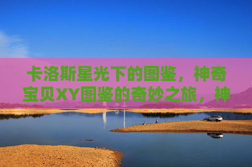 卡洛斯星光下的图鉴,神奇宝贝XY图鉴的奇妙之旅,神奇宝贝XY图鉴,卡洛斯星光奇妙之旅 卡洛斯星光下的图鉴,神奇宝贝XY图鉴的奇妙之旅,神奇宝贝XY图鉴,卡洛斯星光奇妙之旅