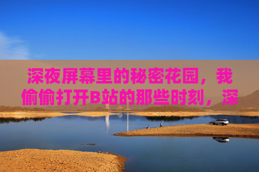 深夜屏幕里的秘密花园,我偷偷打开B站的那些时刻,深夜B站秘密花园 深夜屏幕里的秘密花园,我偷偷打开B站的那些时刻,深夜B站秘密花园