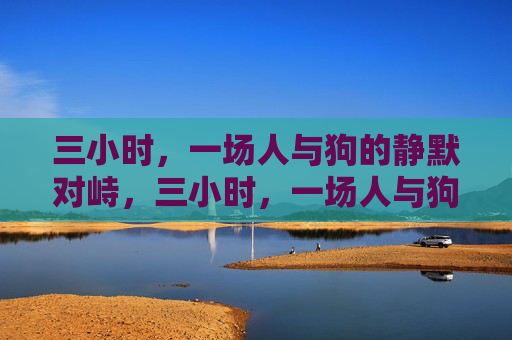 三小时,一场人与狗的静默对峙,三小时,一场人与狗的静默对峙 三小时,一场人与狗的静默对峙,三小时,一场人与狗的静默对峙