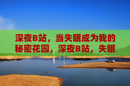 深夜B站，当失眠成为我的秘密花园，深夜B站，失眠的秘密花园