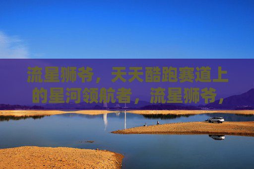 流星狮爷，天天酷跑赛道上的星河领航者，流星狮爷，天天酷跑赛道星河领航者